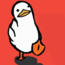 Duck Math